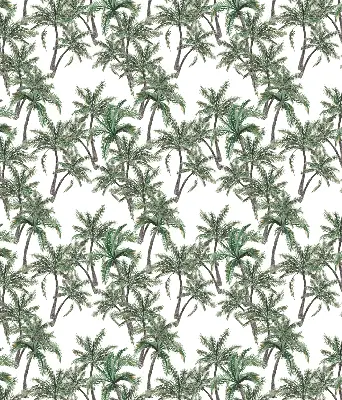 Unutarnja prozorska rolo zavjesa Palme