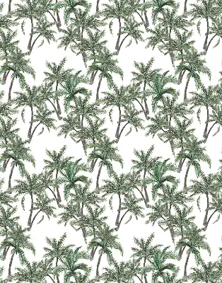Unutarnja prozorska rolo zavjesa Palme