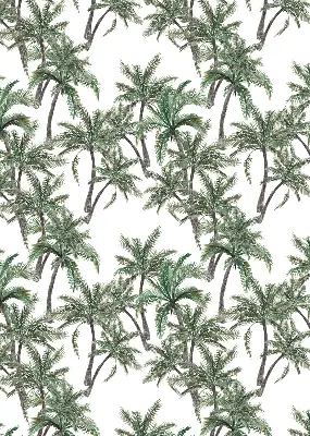Unutarnja prozorska rolo zavjesa Palme