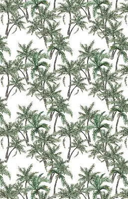 Unutarnja prozorska rolo zavjesa Palme