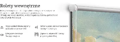 Unutarnja prozorska rolo zavjesa Šareno nebo