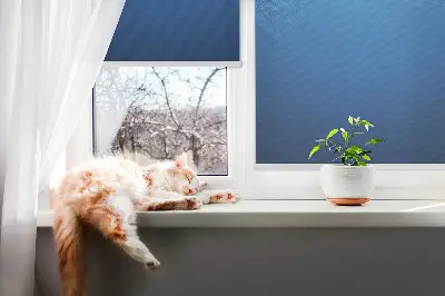 Unutarnja rolo zavjesa za prozor Plava animacija