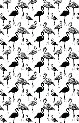 Rolo zavjesa za balkonska vrata Crni flamingosi