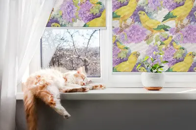 Platnena rolo zavjesa Žute papige