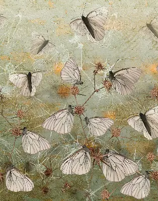 Platnena rolo zavjesa Leptiri na livadi