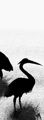Unutarnja prozorska rolo zavjesa Čaplje