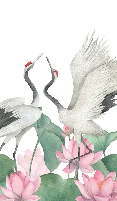 Unutarnja rolo zavjesa Ždralovi u ljiljanima
