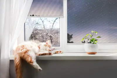 Rolo zavjesa za prozor Zvjezdano nebo
