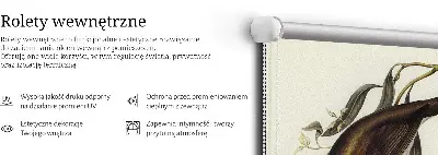Unutarnja rolo zavjesa Ptice na drvetu