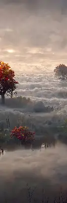 Rolo zavjesa za balkonska vrata Drveće u magli