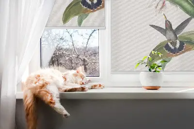 Rolo zavjesa za prozor Ptice na cvijetu