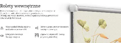 Unutarnja rolo zavjesa za prozor Cvijet