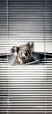 Rolo zavjesa za prozor Koala