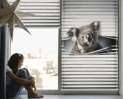 Rolo zavjesa za prozor Koala
