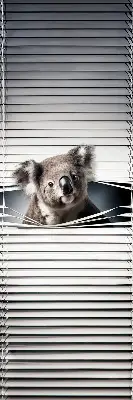 Rolo zavjesa za prozor Koala