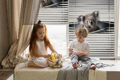 Rolo zavjesa za prozor Koala