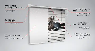 Rolo zavjesa za prozor Koala