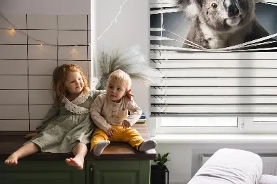 Rolo zavjesa za prozor Koala