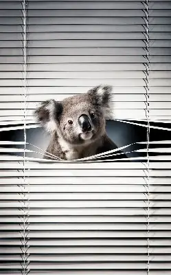 Rolo zavjesa za prozor Koala