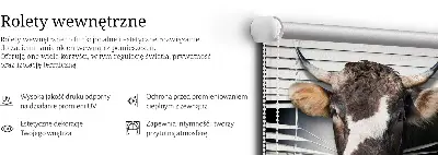 Unutarnja prozorska rolo zavjesa Krava