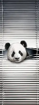 Unutarnja rolo zavjesa za prozor Panda