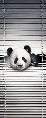 Unutarnja rolo zavjesa za prozor Panda