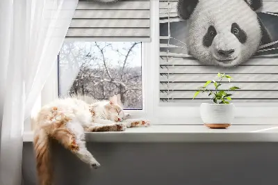 Unutarnja rolo zavjesa za prozor Panda