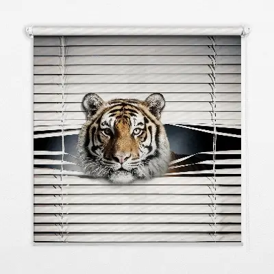 Rolo zavjesa za balkonska vrata Tigar