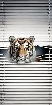 Rolo zavjesa za balkonska vrata Tigar