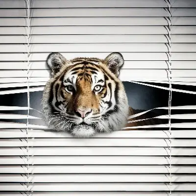Rolo zavjesa za balkonska vrata Tigar