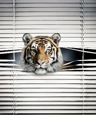 Rolo zavjesa za balkonska vrata Tigar