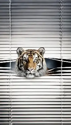 Rolo zavjesa za balkonska vrata Tigar