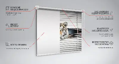 Rolo zavjesa za balkonska vrata Tigar