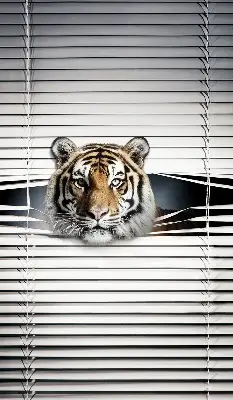 Rolo zavjesa za balkonska vrata Tigar