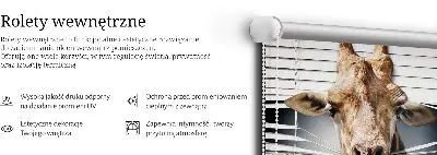 Unutarnja rolo zavjesa za prozor Žirafa