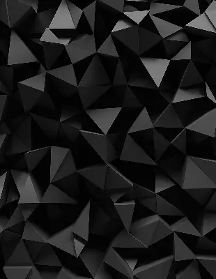 Unutarnja zatamnjujuća rolo zavjesa Crni origami