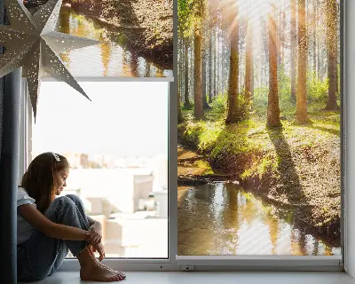 Unutarnja zatamnjujuća rolo zavjesa za prozor Sunce koje sija kroz drveće