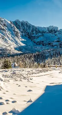 Platnena zatamnjujuća rolo zavjesa Planine