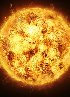 Unutarnja prozorska zatamnjujuća rolo zavjesa Žuta mreža