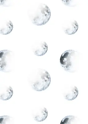 Zatamnjujuća rolo zavjesa za balkonska vrata Mjeseci