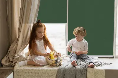 Unutarnja zatamnjujuća rolo zavjesa za prozor Zelena