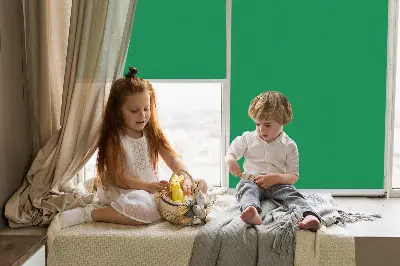 Platnena zatamnjujuća rolo zavjesa Zelena