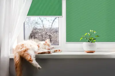 Platnena zatamnjujuća rolo zavjesa Zelena