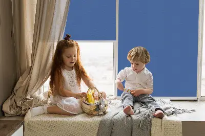 Unutarnja zatamnjujuća rolo zavjesa Plava