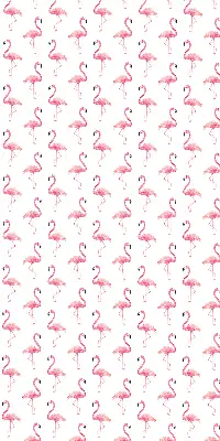 Unutarnja zatamnjujuća rolo zavjesa za prozor Flamingosi