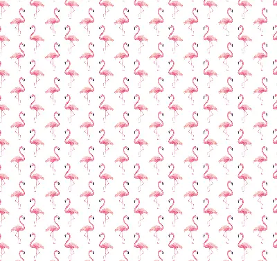 Unutarnja zatamnjujuća rolo zavjesa za prozor Flamingosi