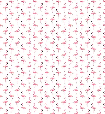 Unutarnja zatamnjujuća rolo zavjesa za prozor Flamingosi