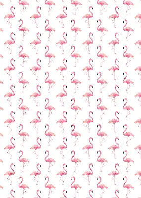 Unutarnja zatamnjujuća rolo zavjesa za prozor Flamingosi