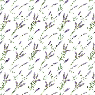 Platnena zatamnjujuća rolo zavjesa Lavanda