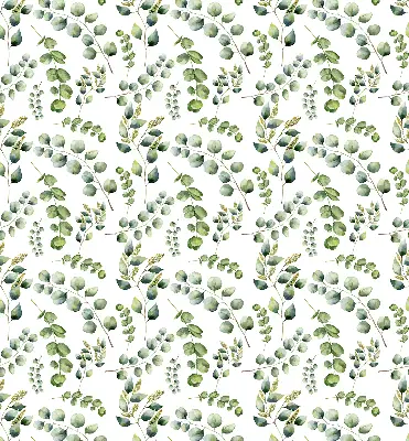 Zatamnjujuća rolo zavjesa za prozor Zelene grančice